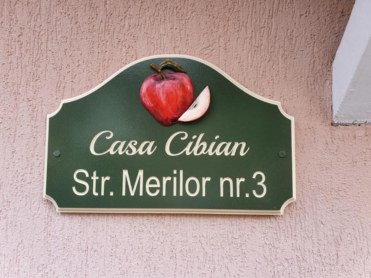 Casa Cibian Leilighet Braşov Eksteriør bilde